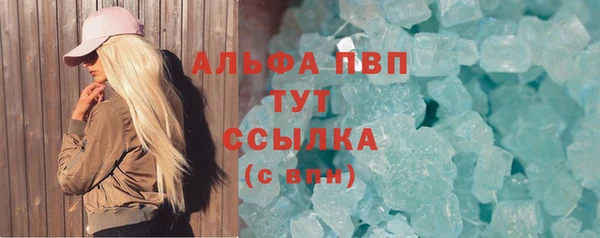 ешки Бородино
