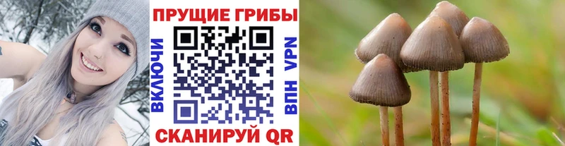 Псилоцибиновые грибы Cubensis Крым